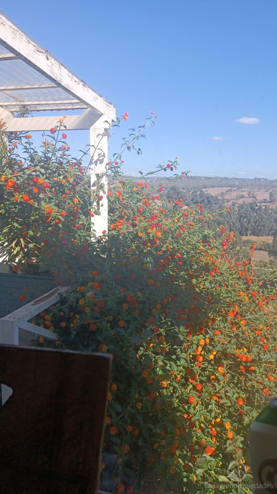 Linda Casa en Campomar 4 